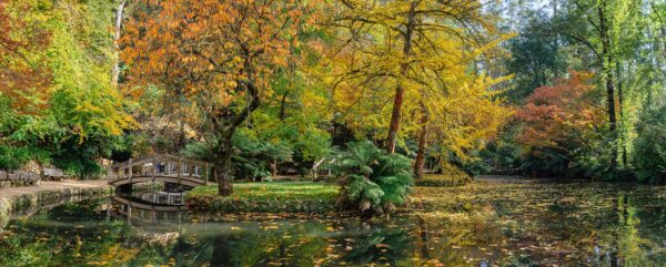 Autumn Alfred Nicholas Gardens