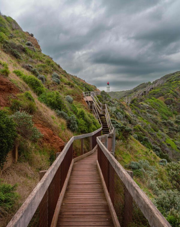 Steps Cape Shank